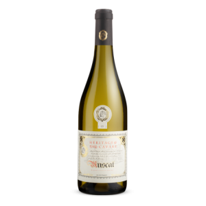 MUSCAT A PETITS GRAINS 2024